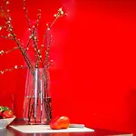 Semesterbostad Idyllisches Haus Mitten In *