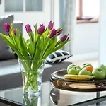 Idyllisches Haus Mitten In Berlin